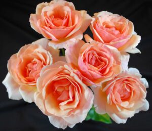 Mother of Pearl_Suzie Rowe